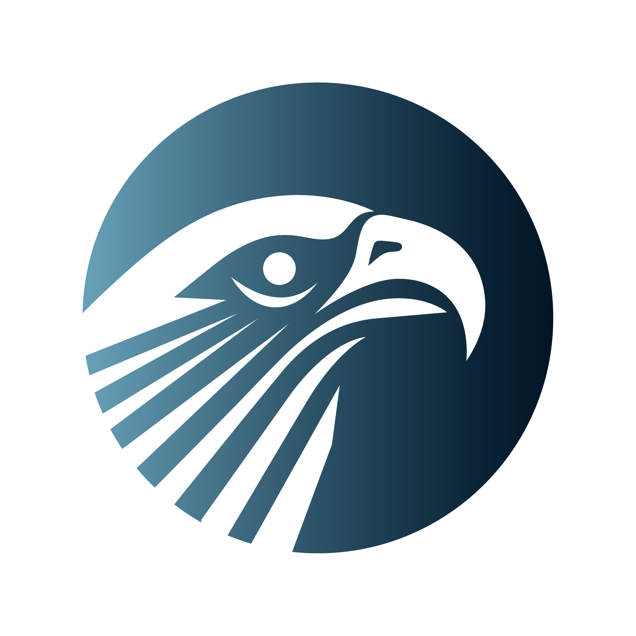 Osprey Exterior dark blue icon