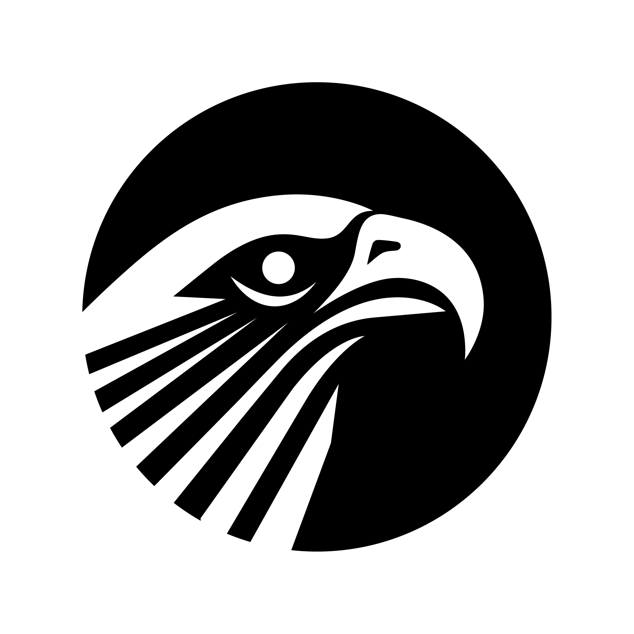 Osprey Exterior black icon