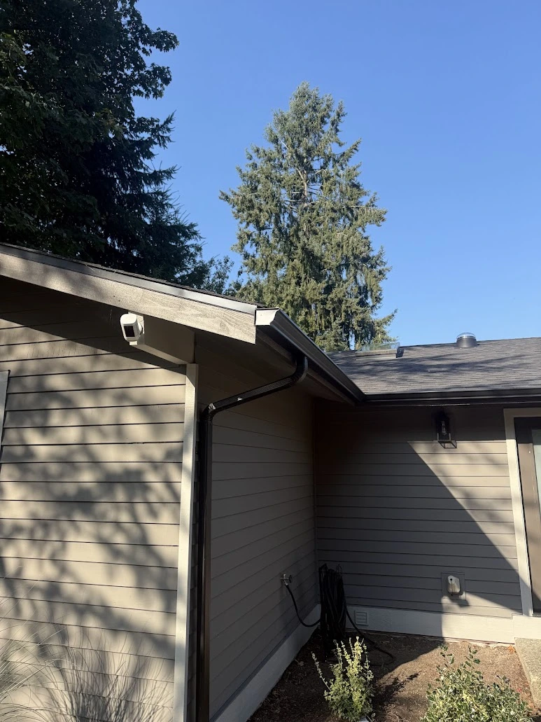 Black seamless gutters wrapping a Bellevue roofline