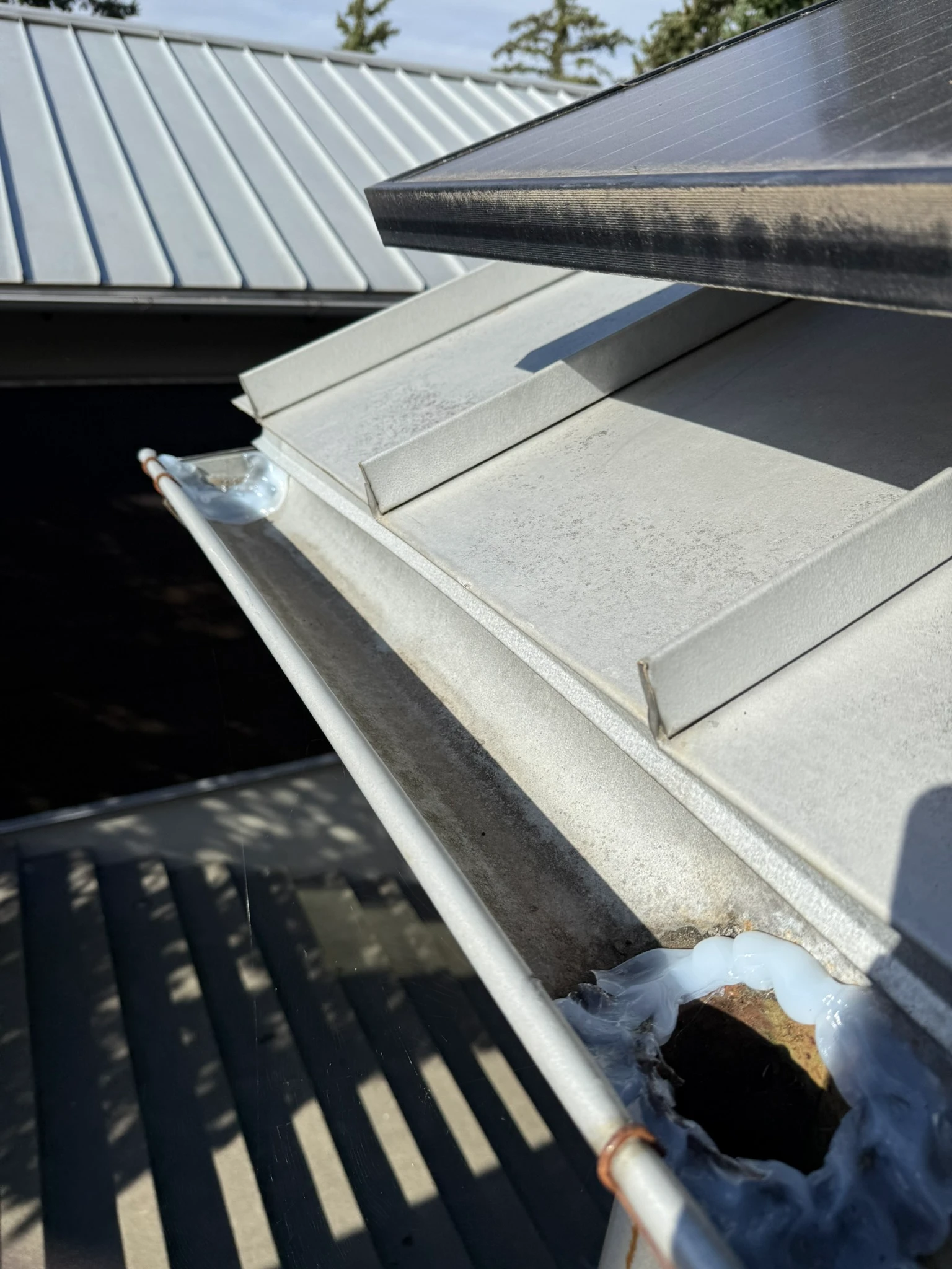 Freshly sealed half-round gutters on a Seattle craftsman home