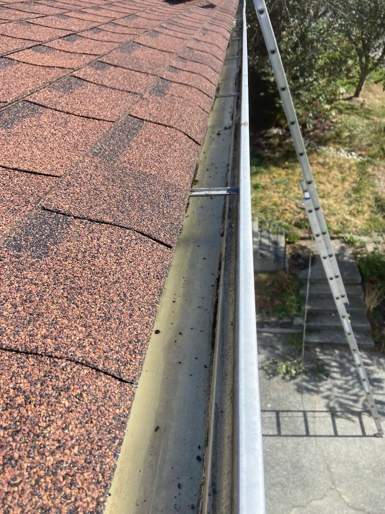 Everett gutter cleared and rinsed after cleaning