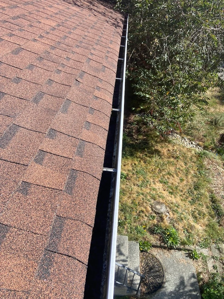 Everett gutter packed with debris before cleaning