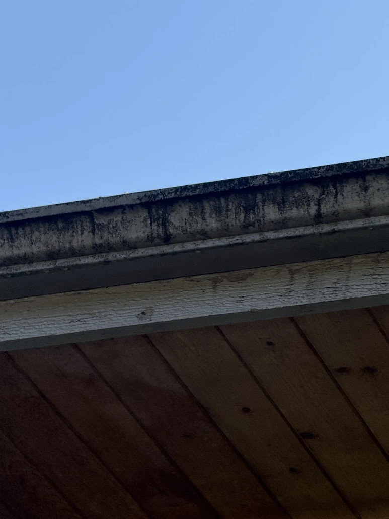 Extremely dirty gutter with staining on exterior siding