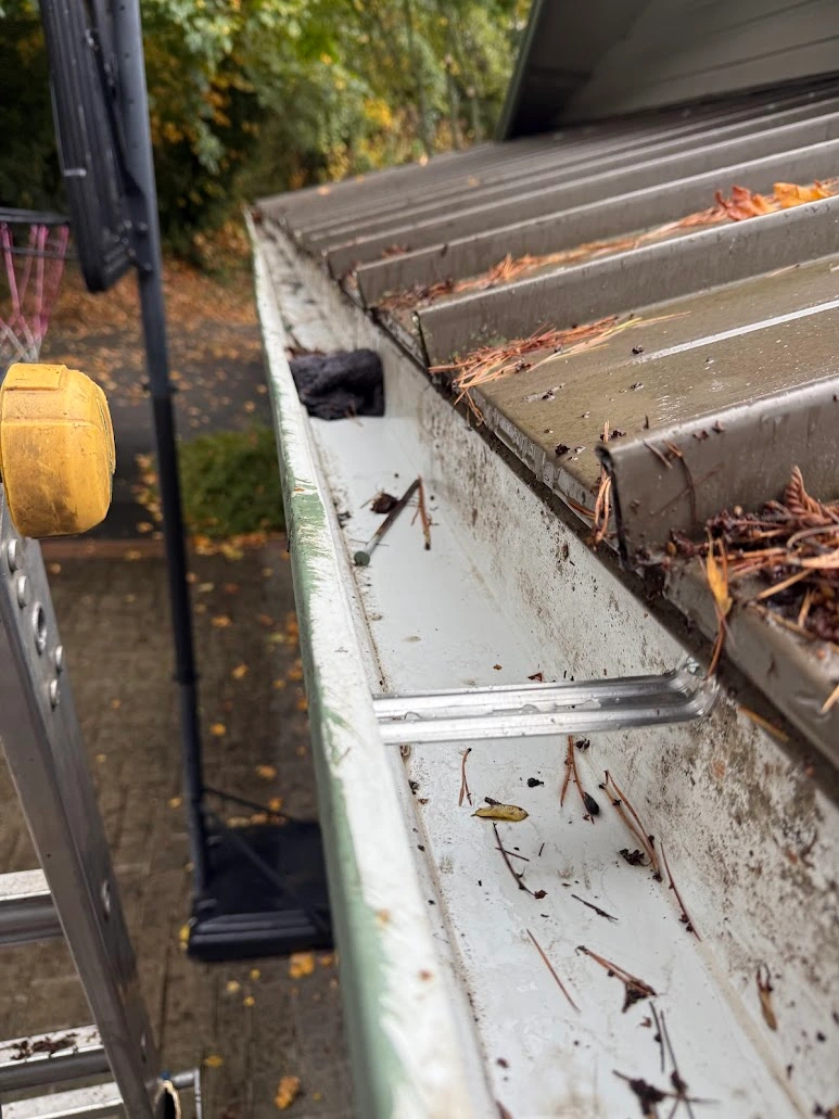 Tightened Bellevue gutter hangers after service