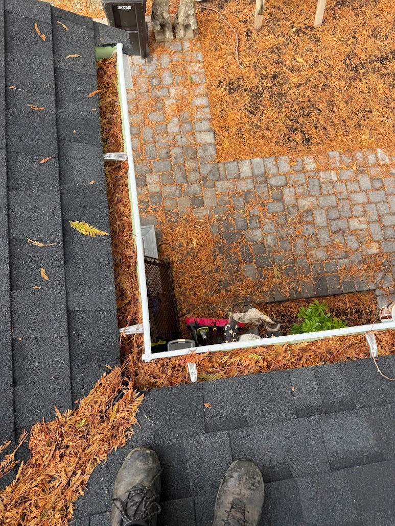 Seattle gutter corner filled with needles before cleaning