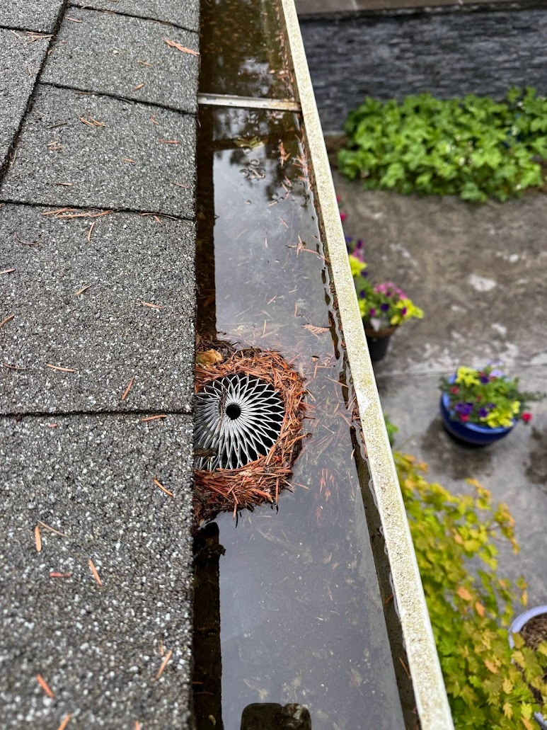 Downspout filter clogged and gutter channel filled with water