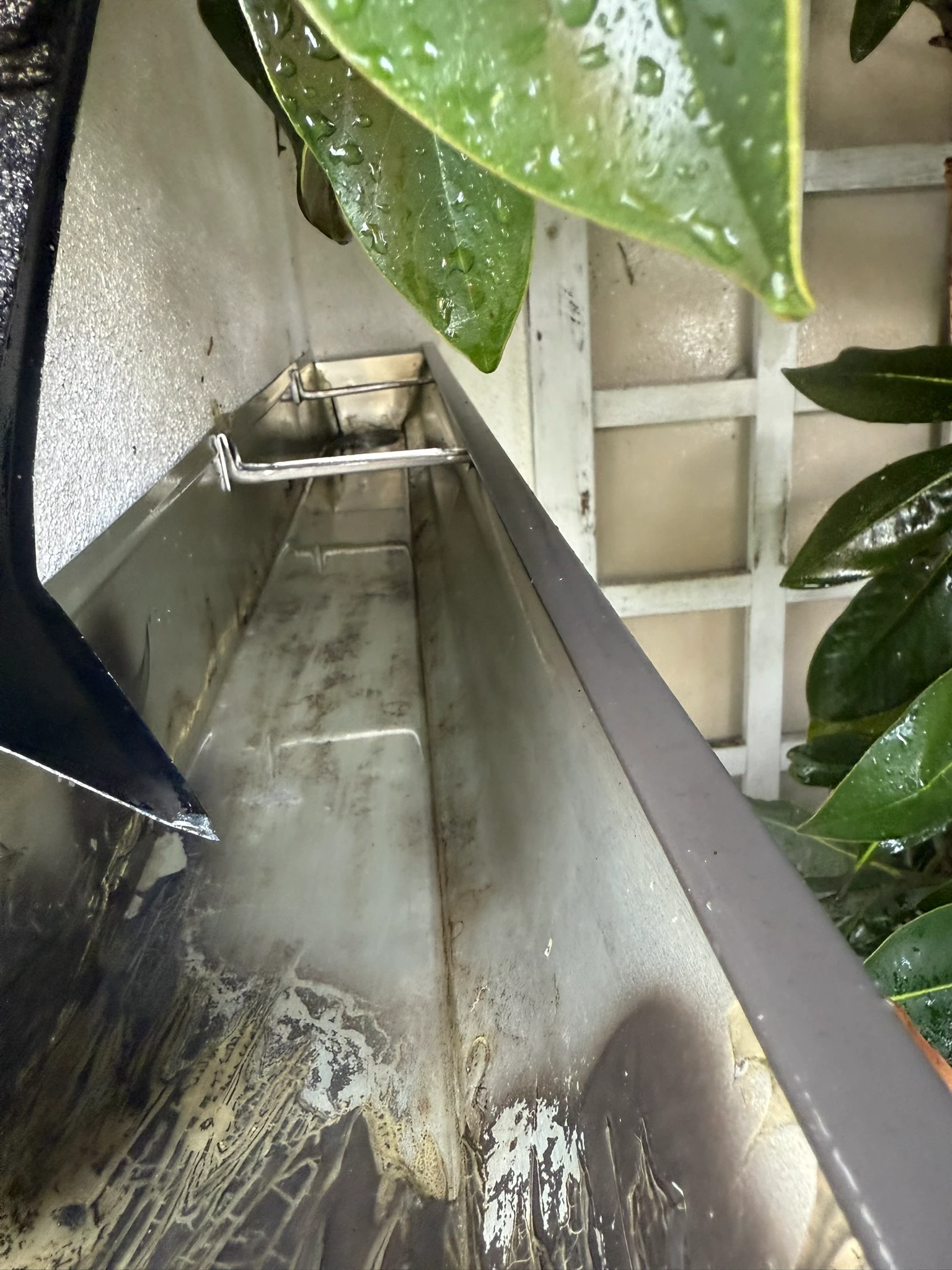 Cleaned gutter free of leaves