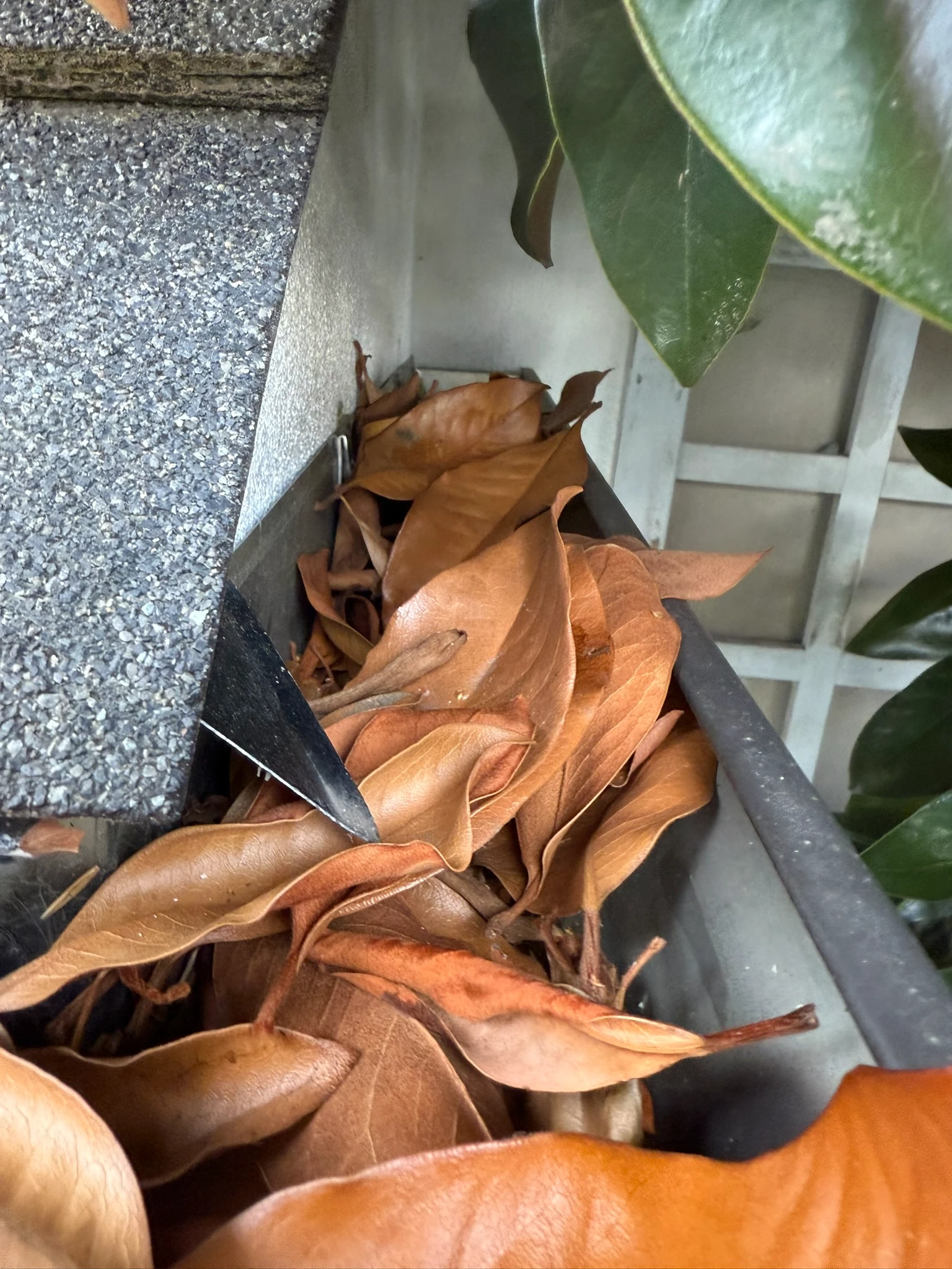 Beaux Arts Village steel gutter restoration
