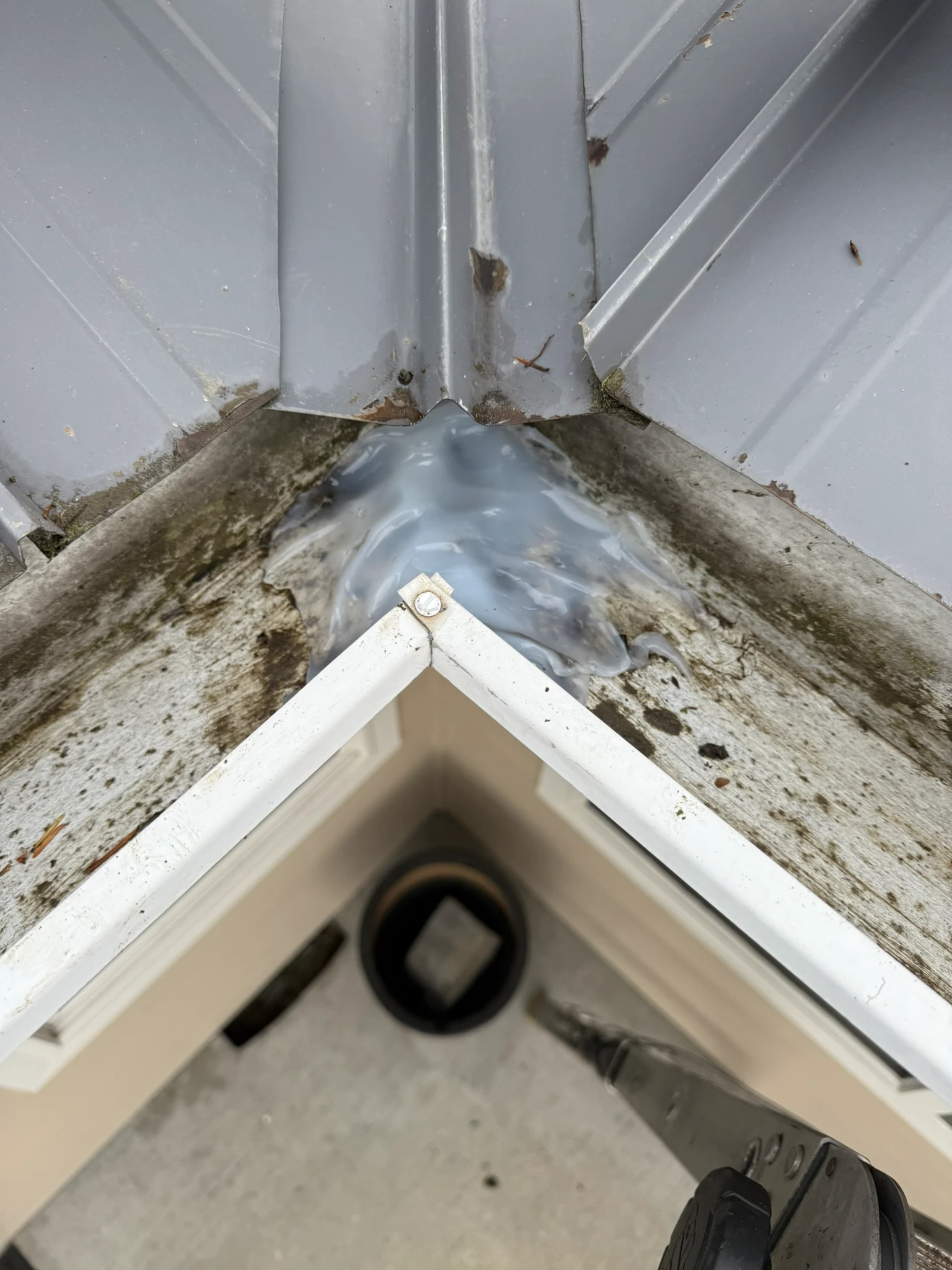 Finished inside gutter corner with mesh guard installed