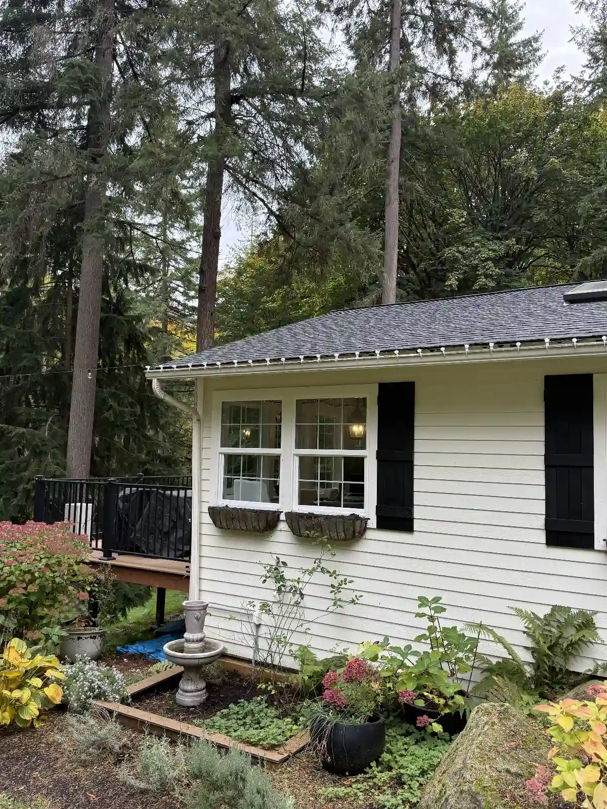 Holiday lighting strung along a Seattle-area craftsman home