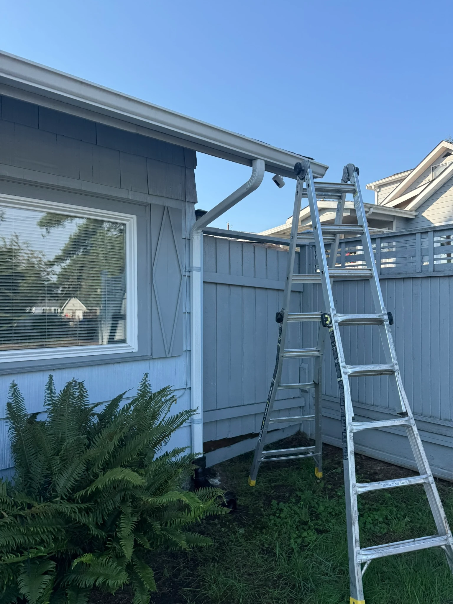 Everett downspout reroute with clean outlet