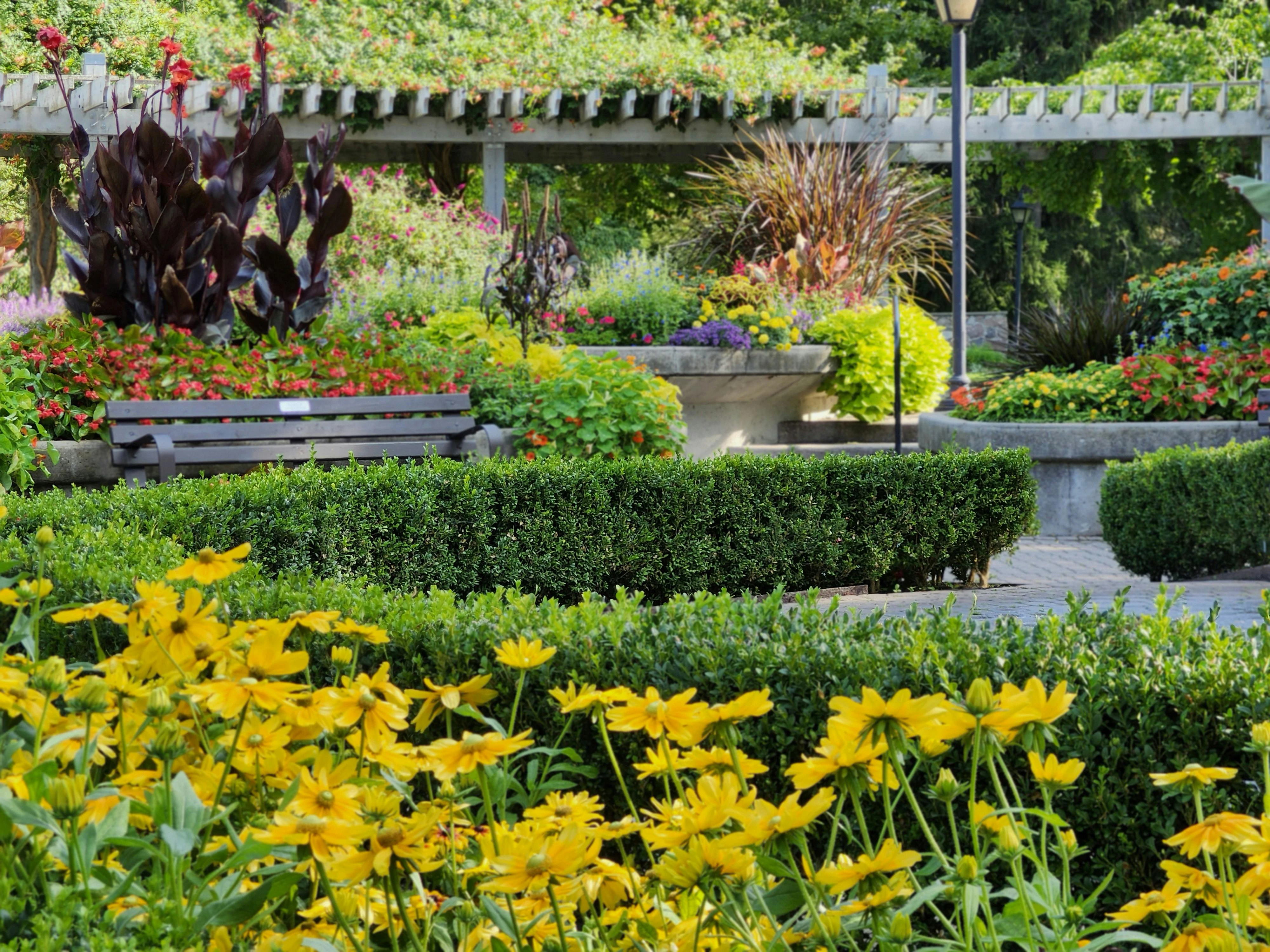Issaquah compliance landscaping with public access path