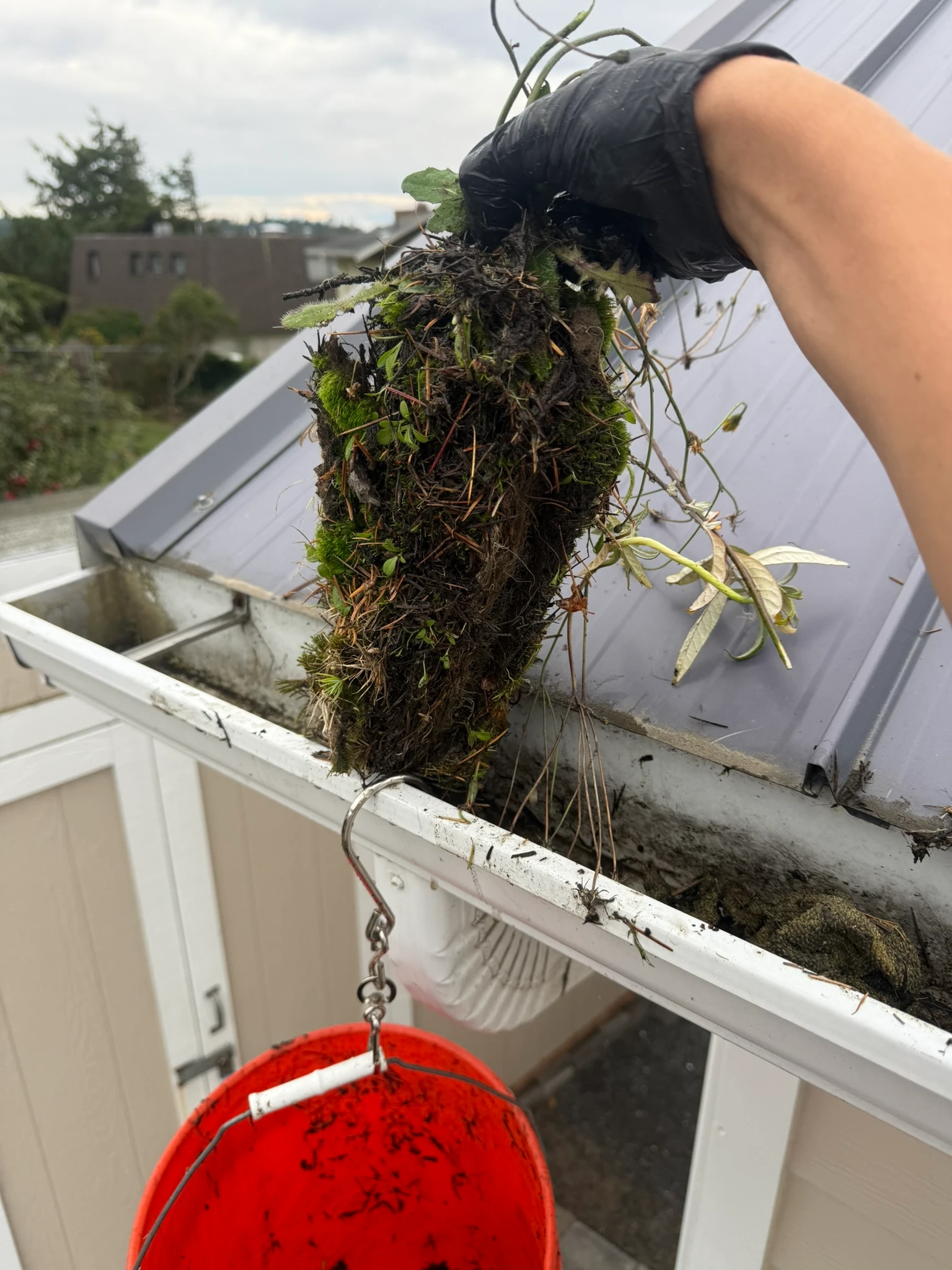 Technician clearing a downspout in Kirkland