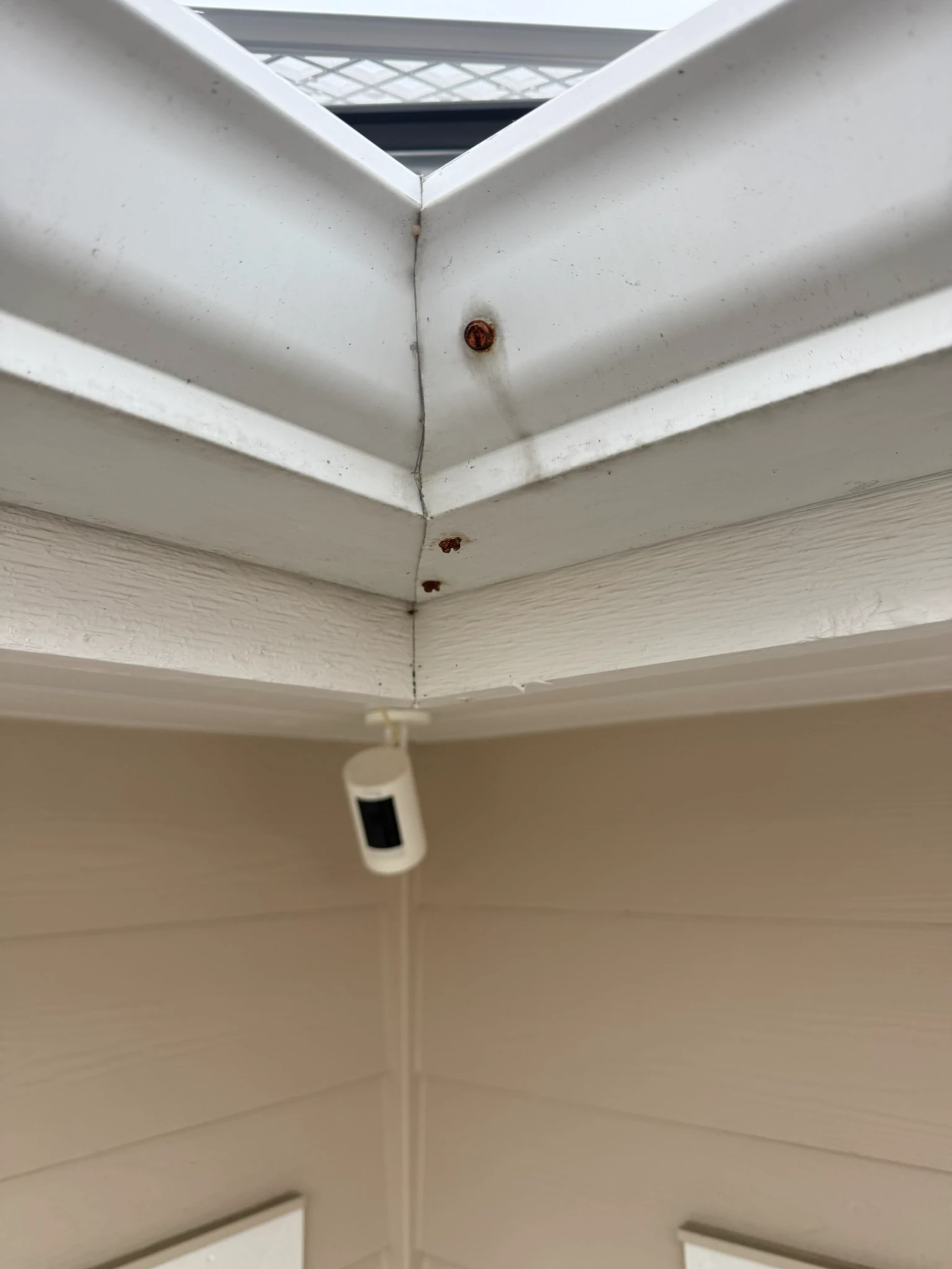 Rusted gutter screw before replacement